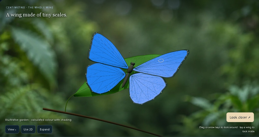 A blue Morpho-inspired butterfly in MVLscope’s interactive exhibit.
