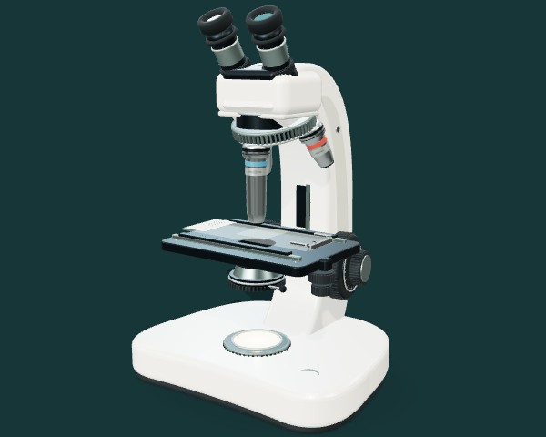 Upright microscope with objective turret, stage and focus wheels